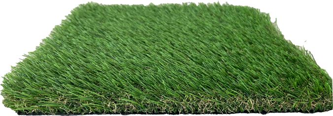 Landscape grass