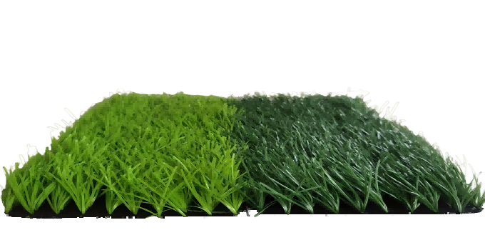 Football Grass