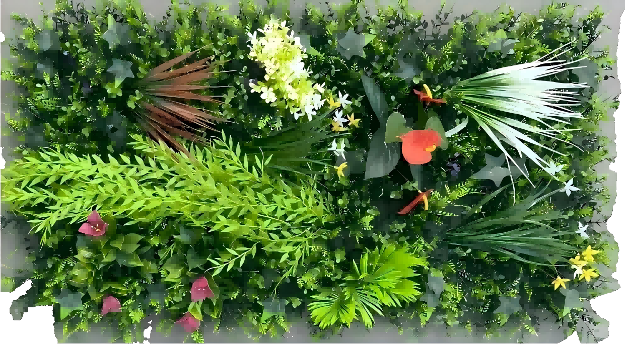50*100CM